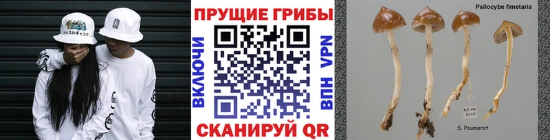 Псилоцибиновые грибы Magic Shrooms  Южноуральск 